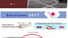 Consulta