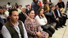 Diputados