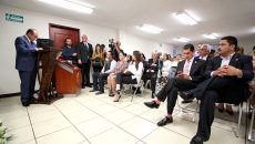 Diputados1