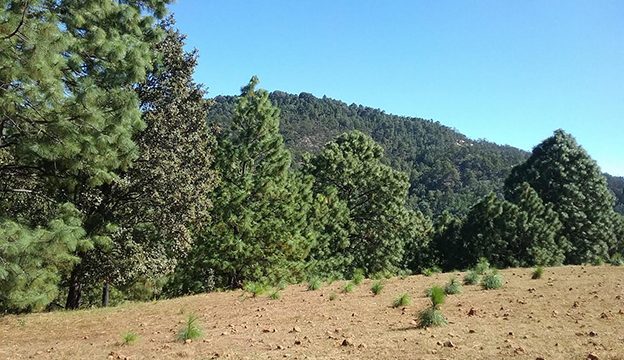 Tierra