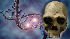 El DNA antiguo de las poblaciones prehispánicas se puede extraer de los huesos o de los tejidos, por ejemplo, de una momia, y dependiendo de la degradación de estos es posible o no obtener el DNA, en este caso mitocondrial. (Imagen: tomada de www.ancient-origins.es.)