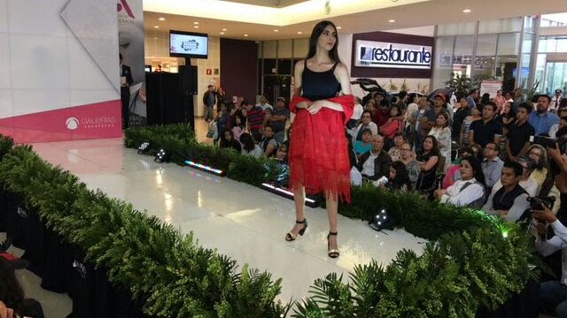 Moda