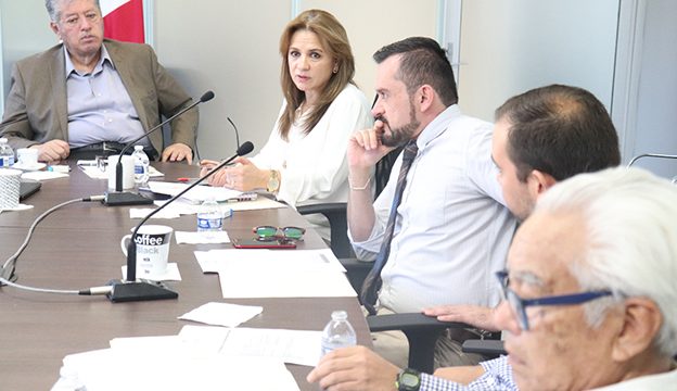 Del Río Venegas, encargada de Gobierno Abierto en Zacatecas, coordinó la sesión del STL para conformar el Segundo Plan de Acción Local