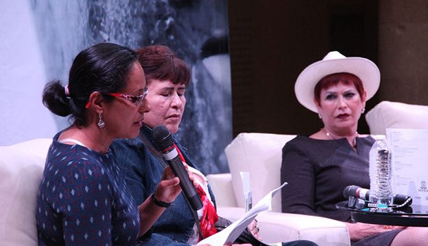 Presentan Vike el libro de Minerva Margarita