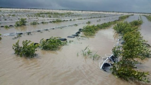 Cambio Climatico