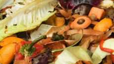 Un grupo de Investigadores de Instituto Politécnico Nacional encabezados por la biotecnóloga Elvia Inés García Peña transforman la materia orgánica en hidrógeno, el cual puede ser utilizado para generar energía eléctrica, bioplásticos y pigmentos, productos amigables con el medio ambiente. (Foto: tomada de: www.google.com.mx.)