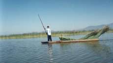 La red de arrastre llamada "chinchorro" es utilizada para pescar por varios miembros de una familia de pescadores en el lago de Pátzcuaro. Galería de fotos disponible en: http://www.comunicacion.amc.edu.mx/