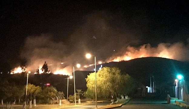 Interpondrán denuncia por incendio provocado en Ecoparque