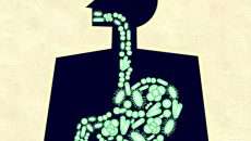 Diversos estudios sugieren que la urbanización de las poblaciones lleva consigo una disminución de la diversidad de la microbiota intestinal, lo cual está asociado al aumento de las enfermedades modernas; si se logra introducir o alcanzar la diversidad máxima se podría disminuir la incidencia de padecimientos crónicos como la obesidad y el síndrome metabólico. (Foto: Shutterstock.)