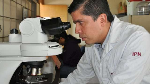José Jorge Chanona Pérez, adscrito a la Escuela Nacional de Ciencias Biológicas del IPN e integrante de la Academia Mexicana de Ciencias, trabaja en la producción de biopolímeros para la construcción de materiales biodegradables. (Foto tomada de: https://bit.ly/2W27PKN.)