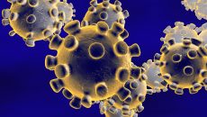 Los coronavirus (CoV) son una gran familia de virus que causan enfermedades respiratorias desde un resfriado común hasta enfermedades más graves (Imagen: Shutterstock)