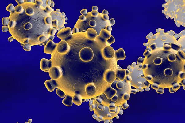 Los coronavirus (CoV) son una gran familia de virus que causan enfermedades respiratorias desde un resfriado común hasta enfermedades más graves (Imagen: Shutterstock)